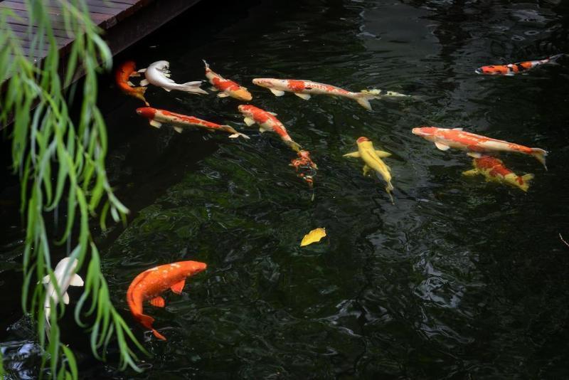 Hotel Park 9 Bangkok